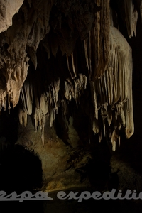 Ceiling decoration of forgotten cave